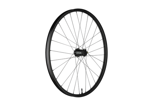 Race Face Turbine 30 29" MTB Wheel - Front