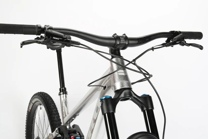 Haro Daley Alloy 2 LTD 29" - Raw