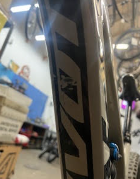 Pivot Firebird 29 - XT Kit - Sandstorm - Medium - Demo 1