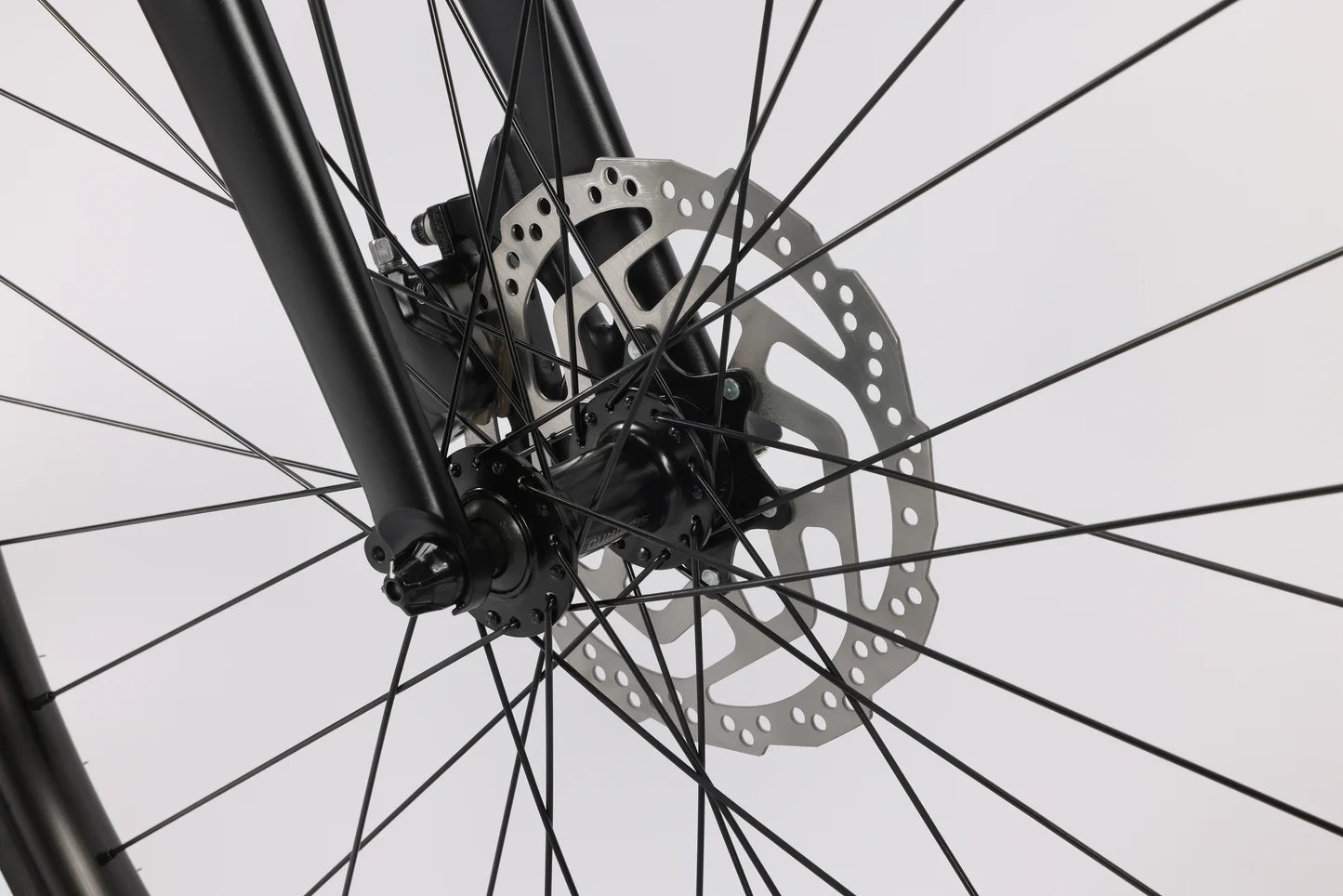 Haro Beasley One 29" - Semi-Gloss Black-Blue Chameleon