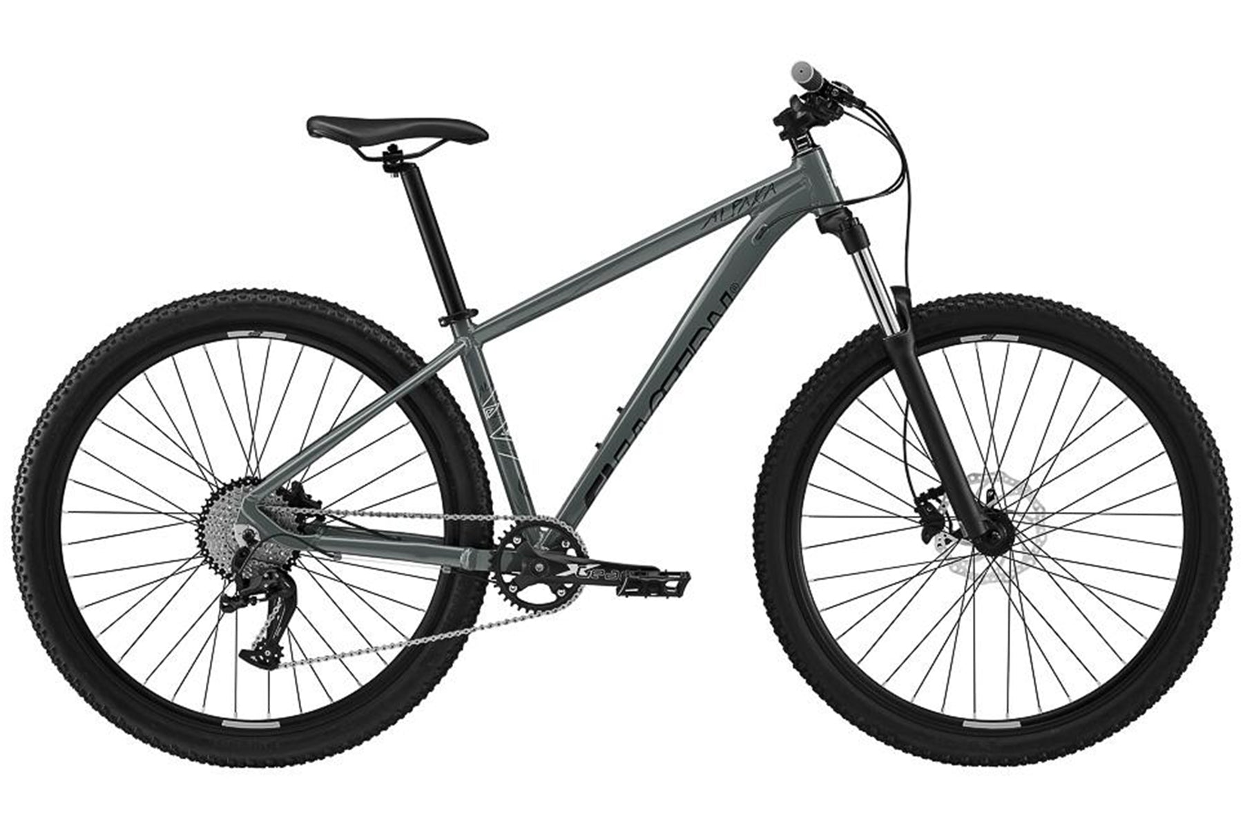Eastern Alpaka 29 MTB Hardtail Bike
