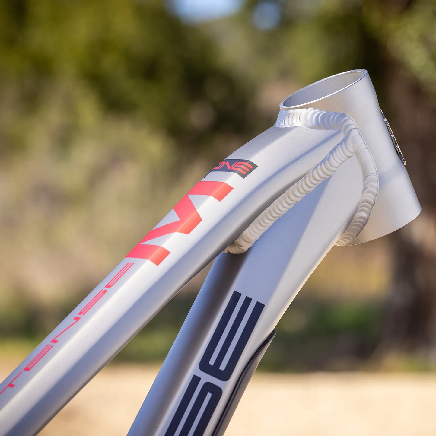 Intense M1 Frame + Shock - Titanium - 2026