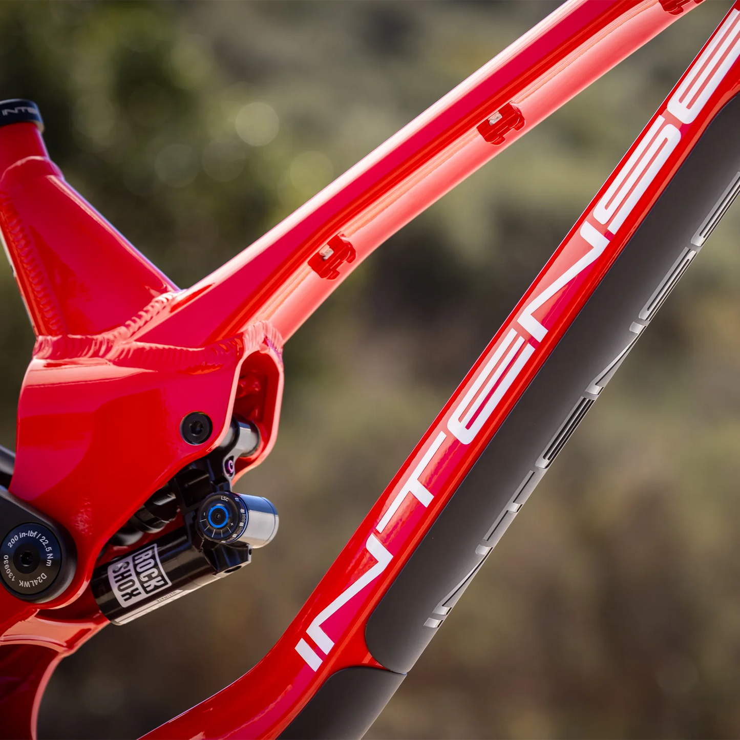 Intense M1 Frame + Shock - Red - 2026