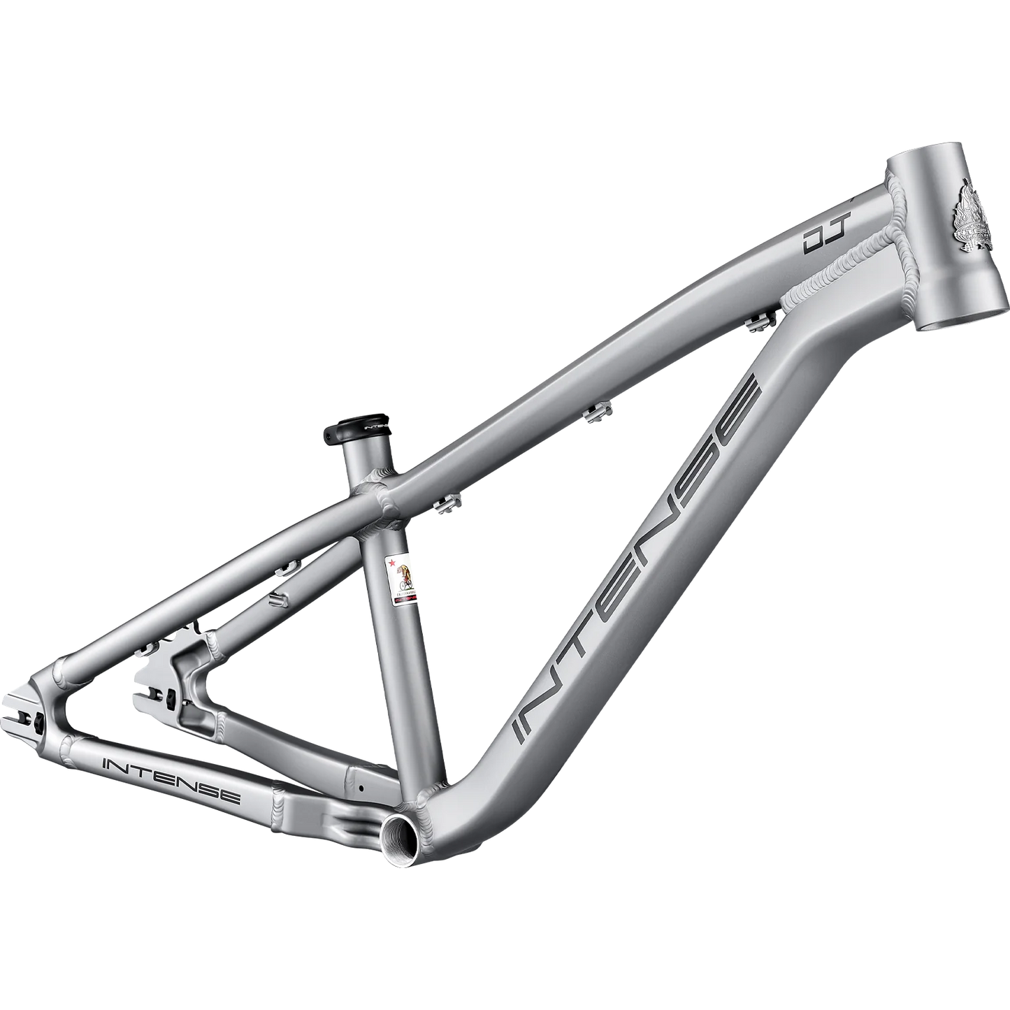 Intense DJ 26 Frame - Titanium - 2026