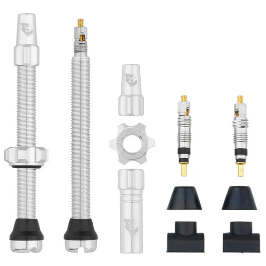 Wolf Tooth Components Tubeless Valve Stems - 60mm - Raw Silver