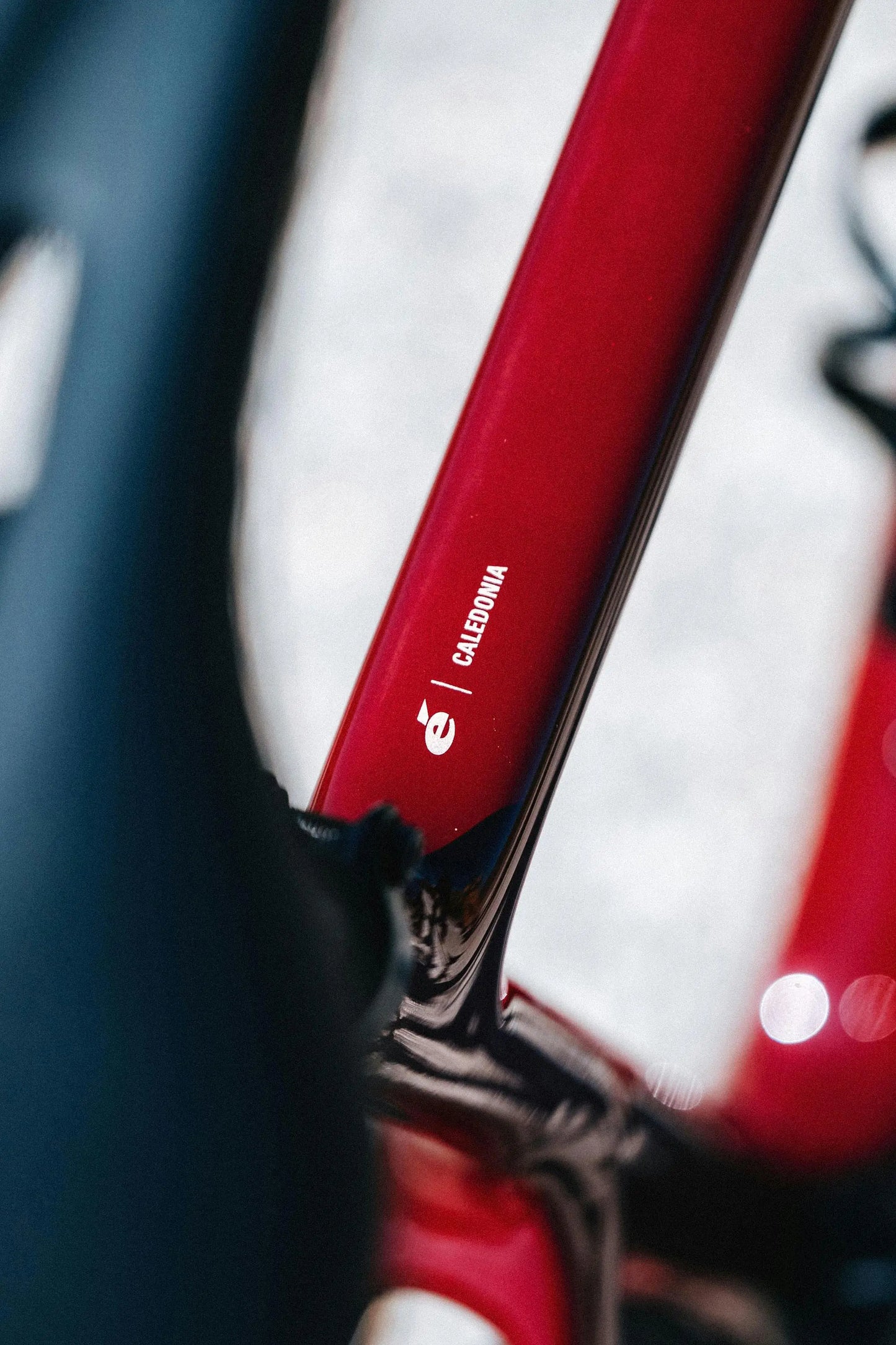 Cervelo Caledonia 700c - 105 Di2 - Black