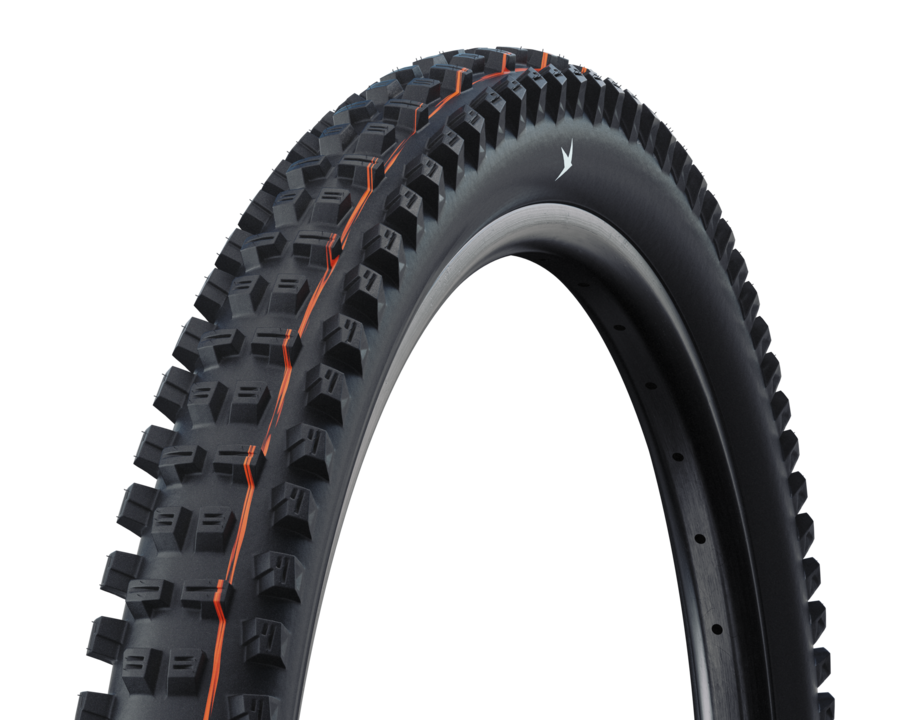 Schwalbe Tacky Chan Radial 29" Folding MTB Tire