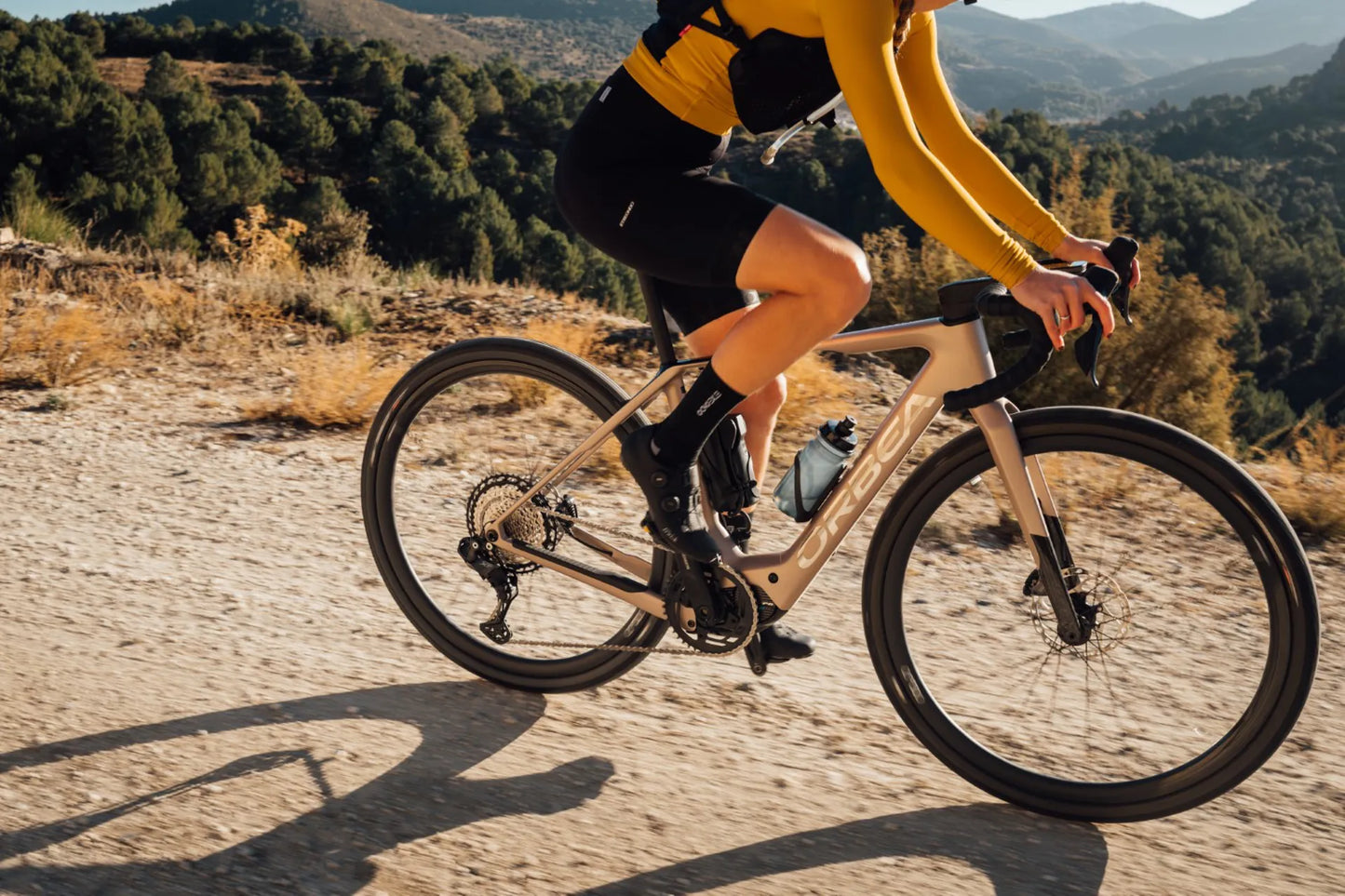 Orbea Denna M31e 700c 28mph - Nickel Matt-Carbon Raw Gloss - 2025