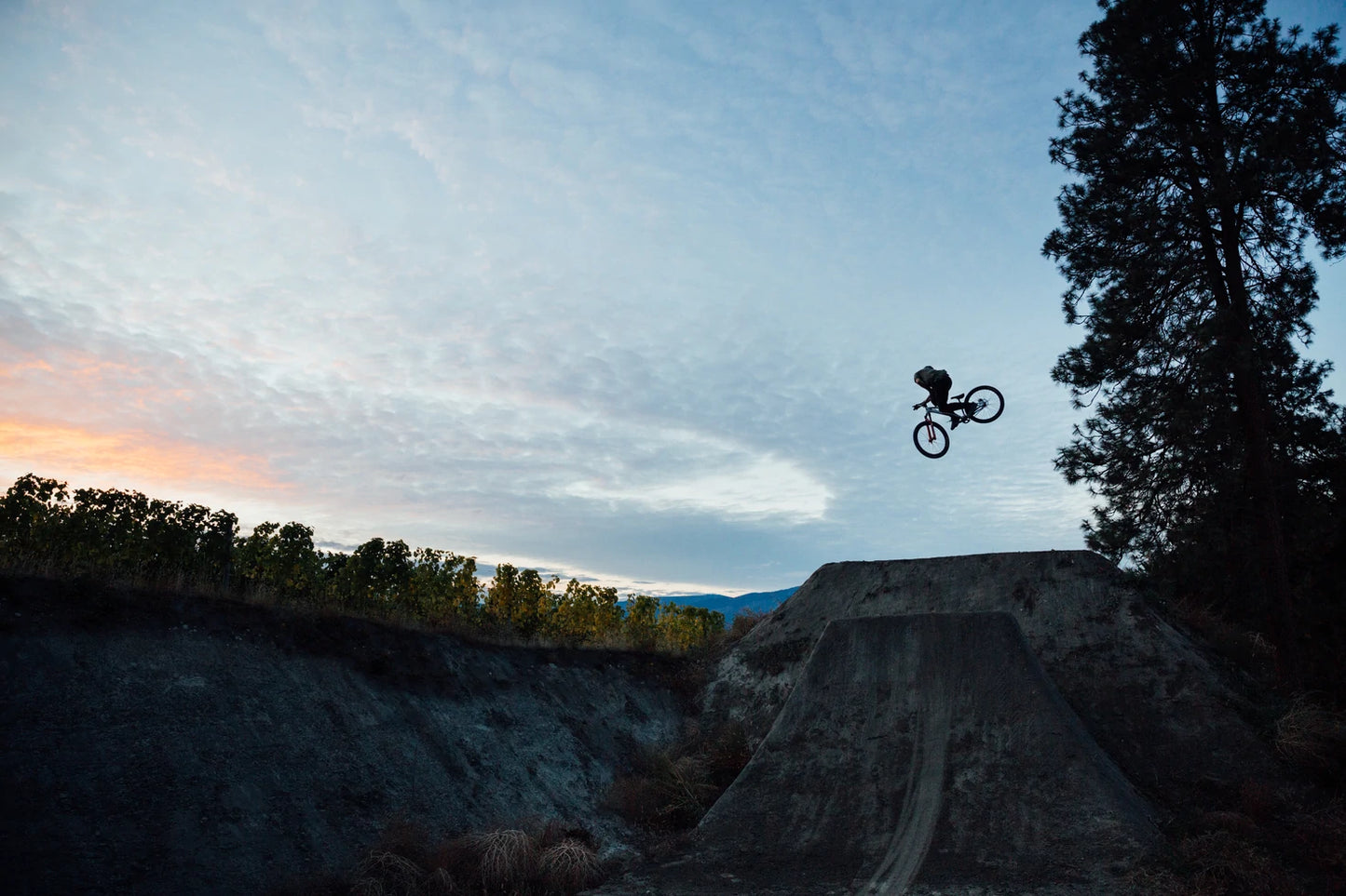 Norco Rampage 2 26 - Gold-Black