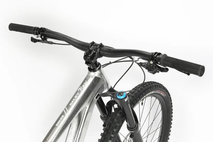 Haro Daley Alloy 2 LTD 29" - Raw