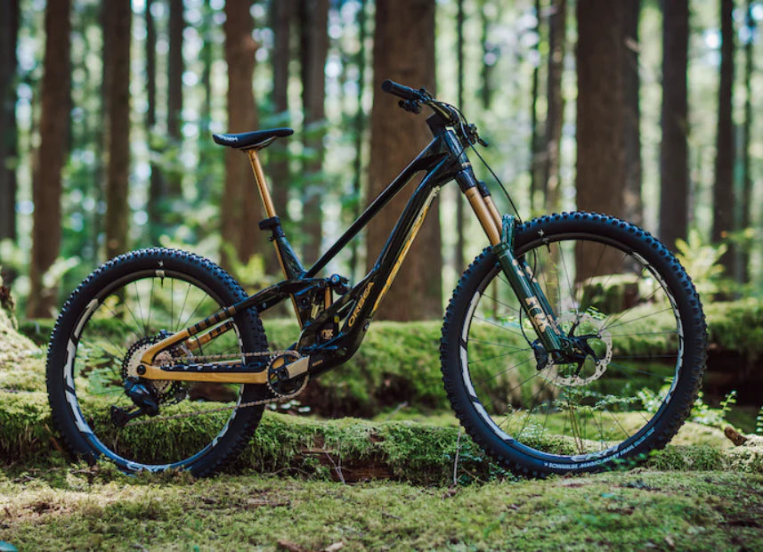 Fox Factory 38 Float 170 Factory 29 15QRx110mm - Racing Green Ltd Edition