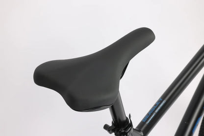 Haro Beasley Two 29" - Semi-Gloss Black-Blue Chameleon