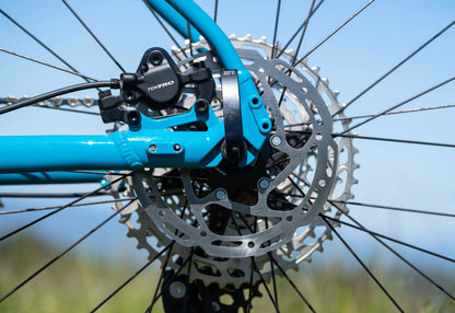 Marin Bobcat Trail 5 27.5 - Gloss Blue-Black - 2025