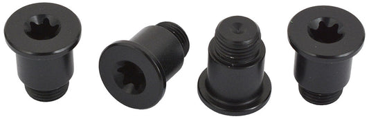 SRAM Rival AXS Chainring Bolt Kit - Black