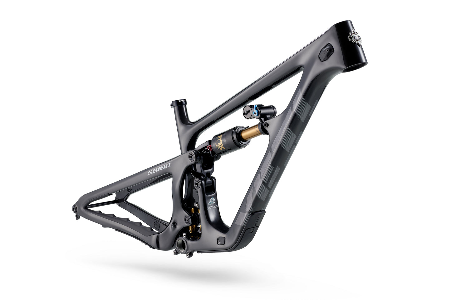 Yeti SB160 C3 29 - GX AXS - Fox Factory - Raw Carbon