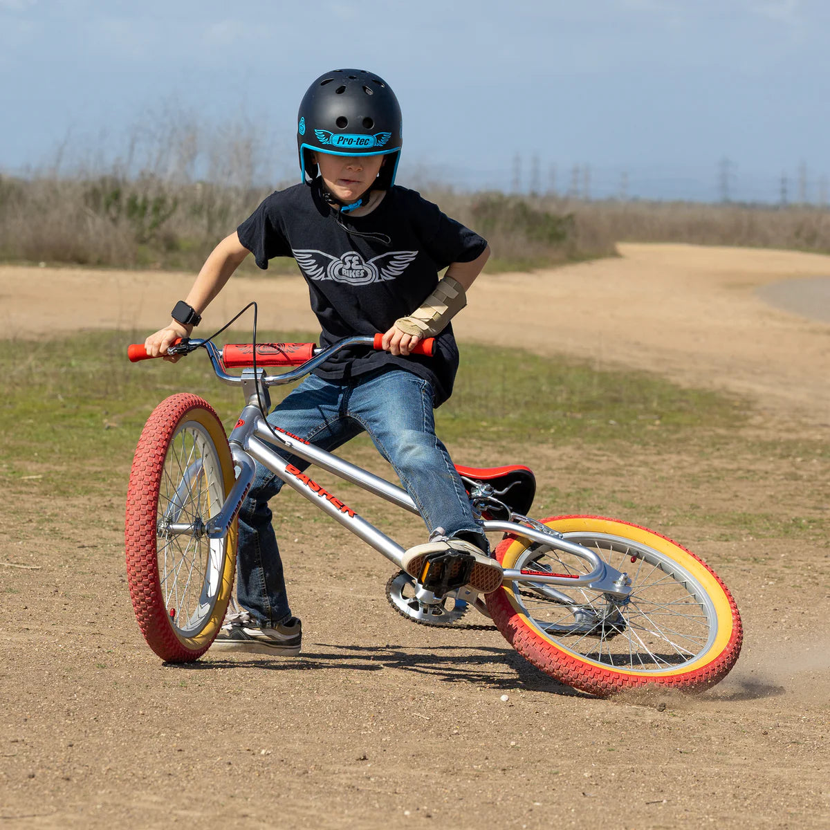 SE Bikes Basher 20" - Silver Streak