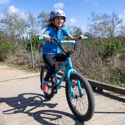 SE Bikes Basher 20" - Black Lightning
