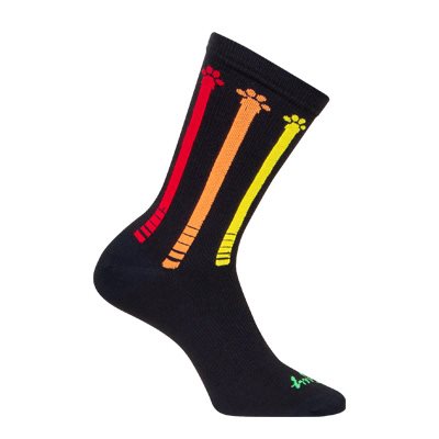 SockGuy 6" Crew Sock - Pawsitive