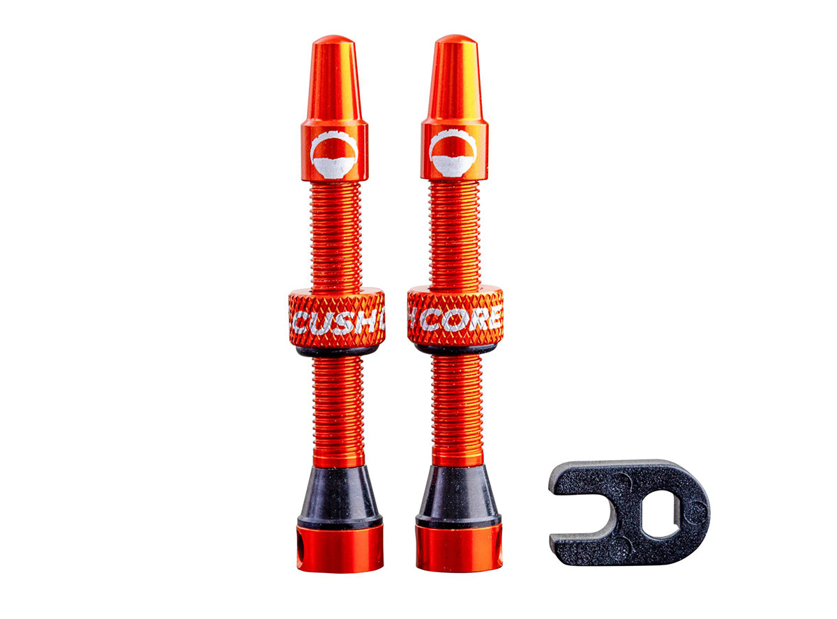 CushCore Air Valve Set