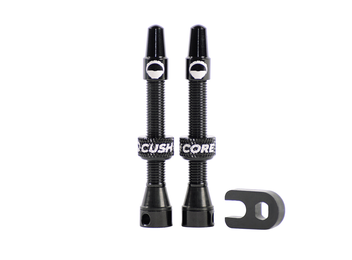 CushCore Air Valve Set
