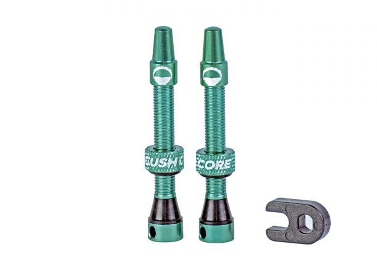 CushCore Air Valve Set