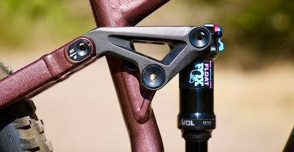Marin Alpine Trail 1 MX - Brown-Blue - 2025