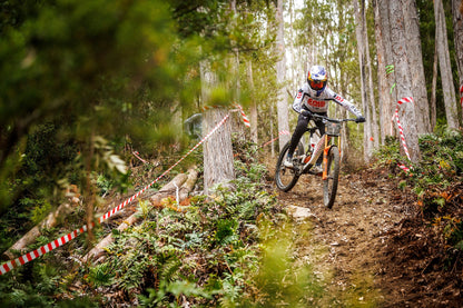 Santa Cruz V10 CC MX - DH S Kit - Gloss Kelp Green - 2025