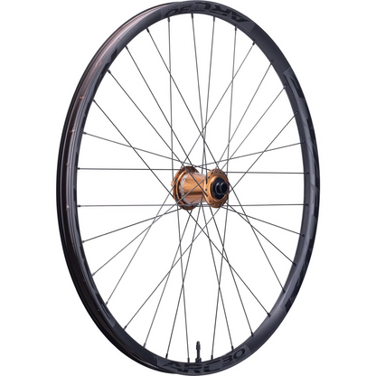 Race Face ARC Kashmoney Custom ALU 29" MTB Wheel - Front