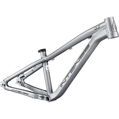 Intense DJ 26 Frame - Titanium - 2026