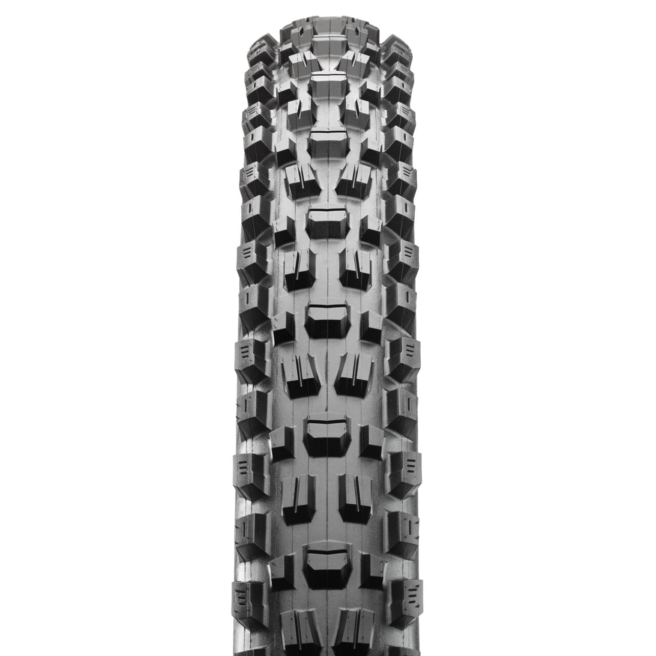 Maxxis Assegai 29" Folding MTB Tire - EXOPlus