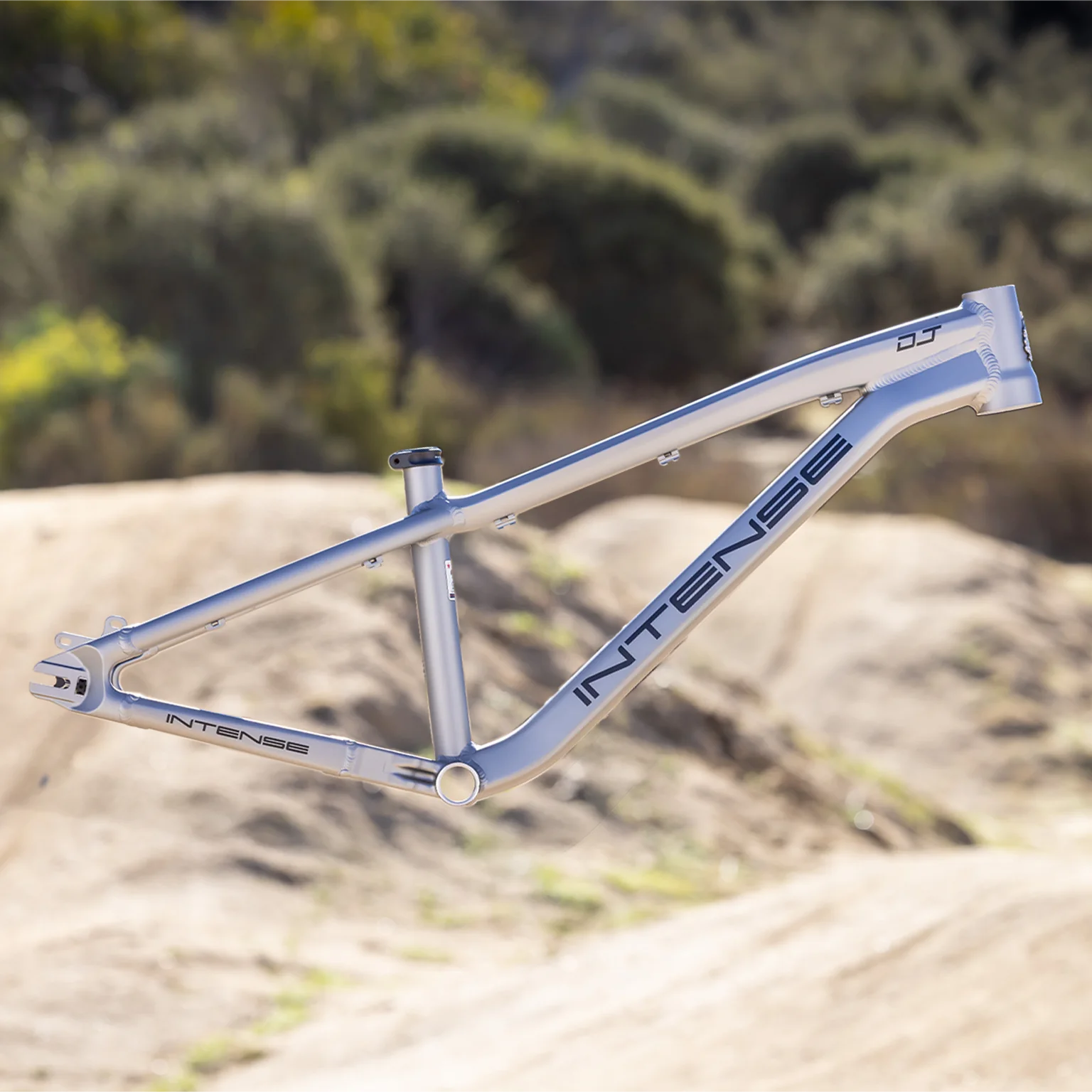Intense DJ 26 Frame - Titanium - 2026 – Planet Cyclery Intense DJ 26 Frame - Titanium - 2026 – Planet Cyclery