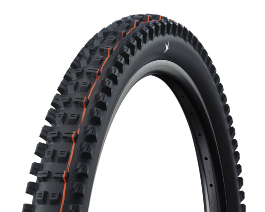 Schwalbe Tacky Chan Radial 29" Folding MTB Tire