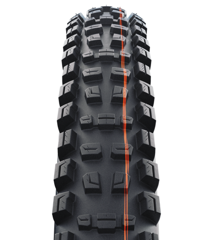 Schwalbe Romy Trail Pro Radial 29" Folding MTB Tire