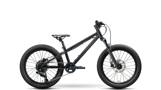 Norco Charger Youth 20 - Black
