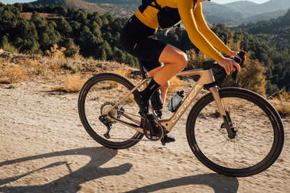 Orbea Denna M31e 700c 28mph - Nickel Matt-Carbon Raw Gloss - 2025